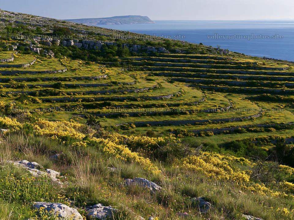 Croatian meadow above Adriatic coast with terraced landscape – nature photography 9174x6866