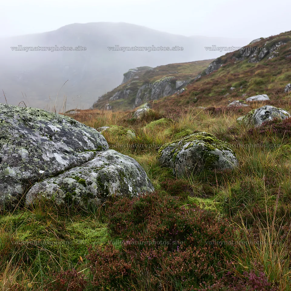 Mossy boulders in a meadow under cloudy skies – nature photography 7938x7938