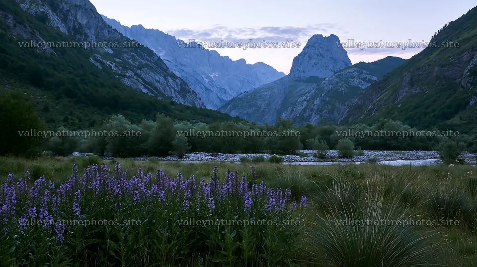 Night blooming meadow with mountains in the background – nature photography 10608x5938