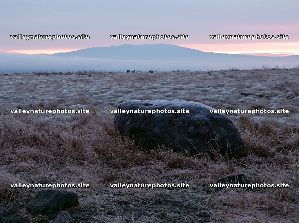 Aomori climate resilient meadow with boulder at sunrise – nature photography 9174x6866