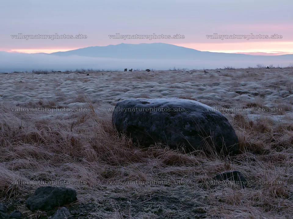 Aomori climate resilient meadow with boulder at sunrise – nature photography 9174x6866
