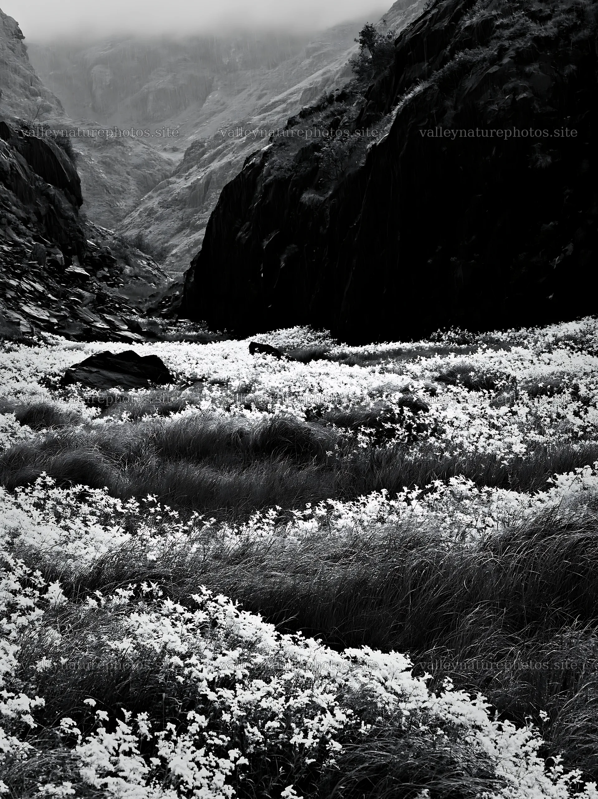 Rain falls on a valley meadow with flowers and rocks – nature photography 6866x9174
