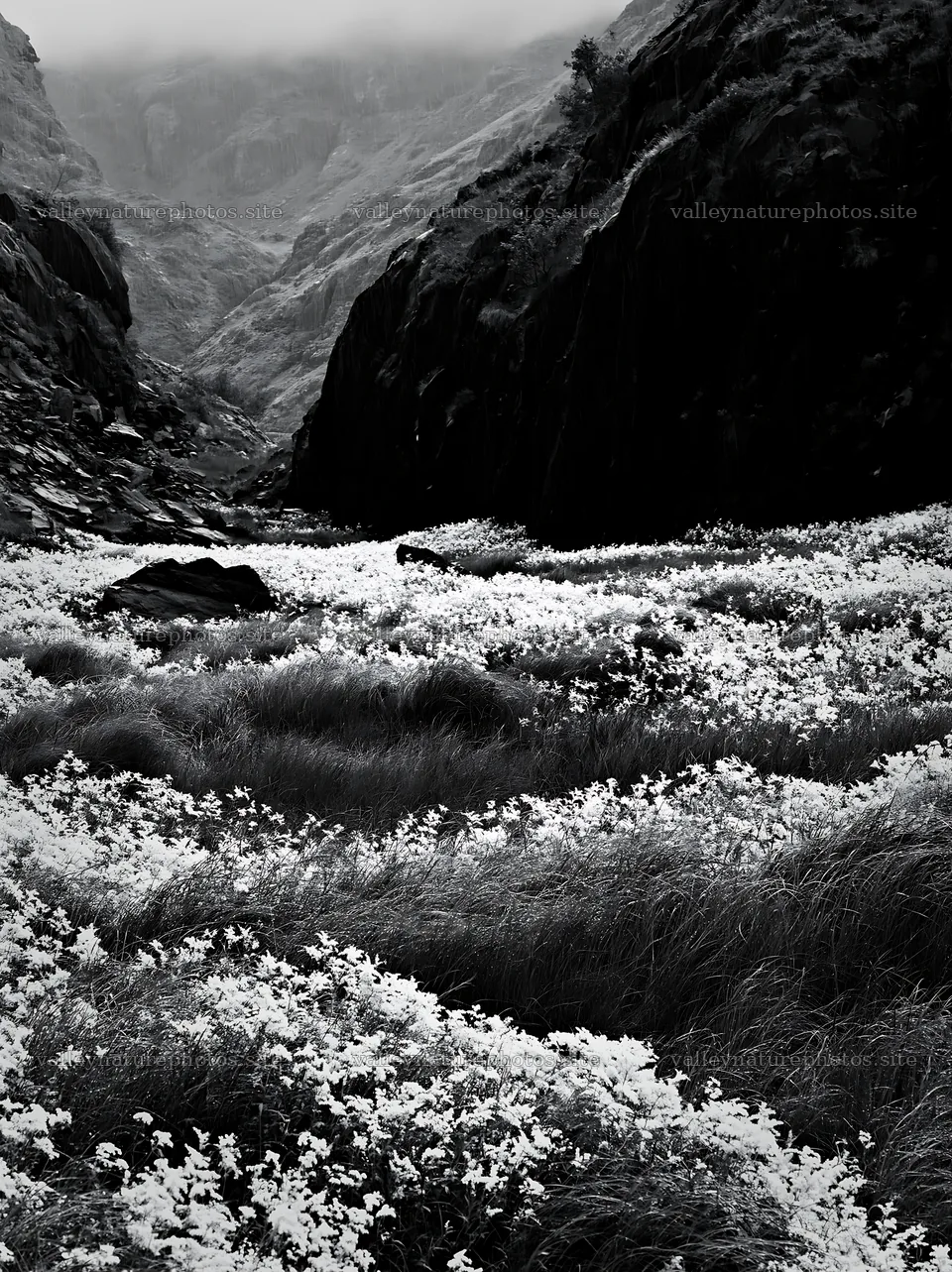 Rain falls on a valley meadow with flowers and rocks – nature photography 6866x9174
