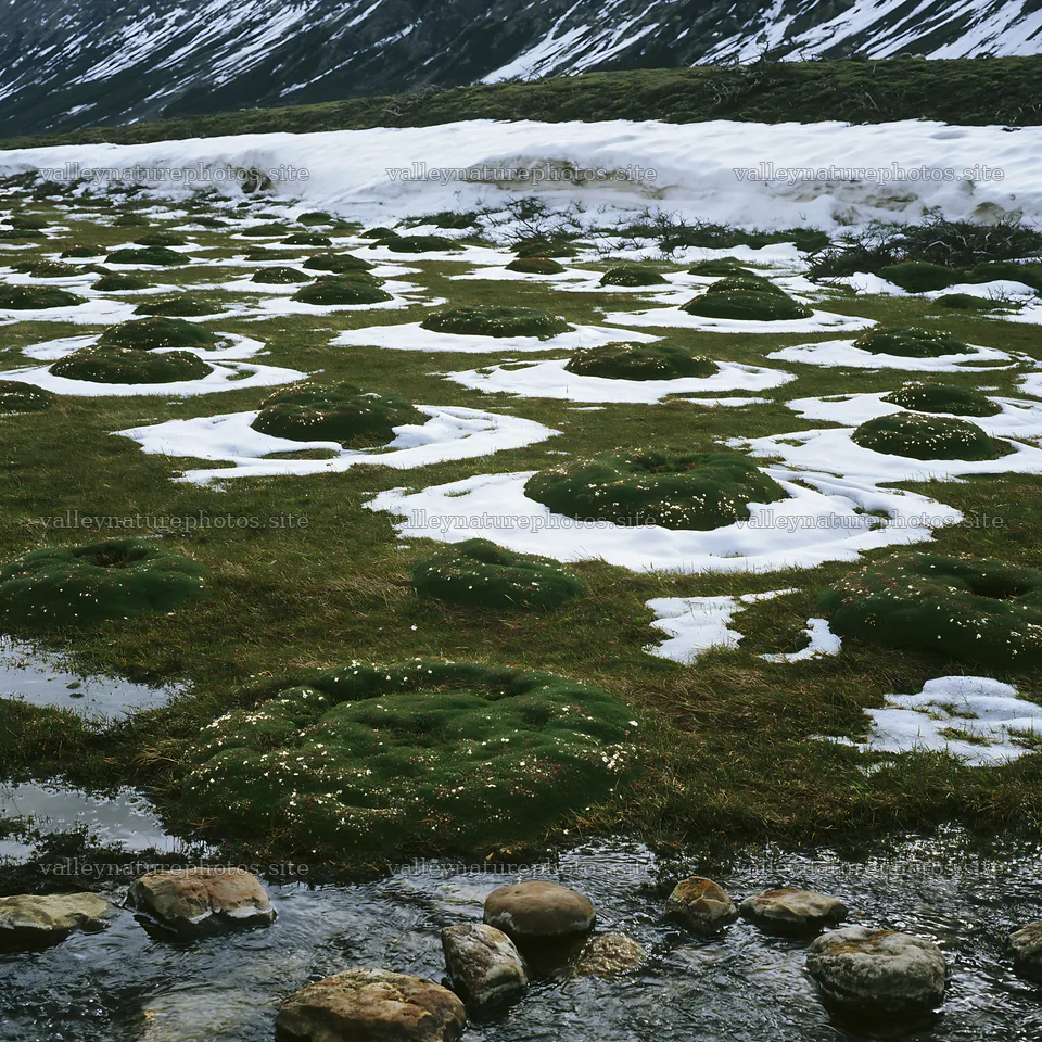Torres del Paine meadow snow with green patches and water – nature photography 7938x7938