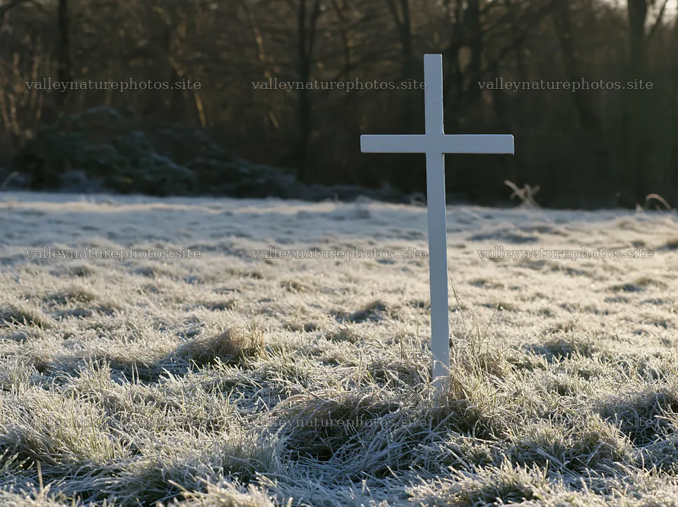 Whitewashed Christian cross in winter meadow – nature photography 9174x6866
