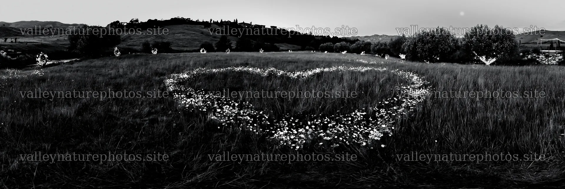 Christmas wreaths beside stream in meadow – nature photography 13690x4602