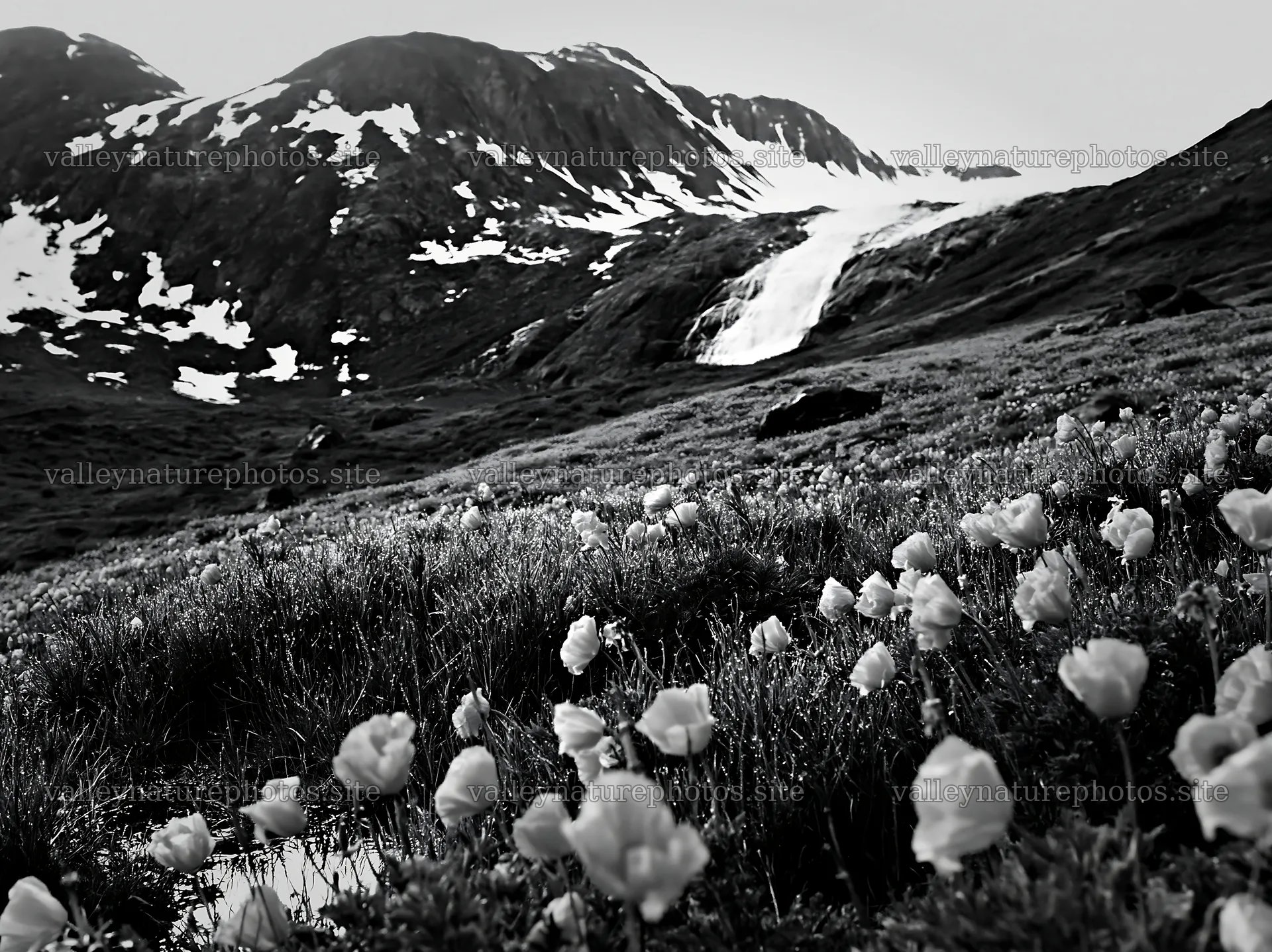 Meadow with flowers near natural waterfall in the mountains – nature photography 9174x6866
