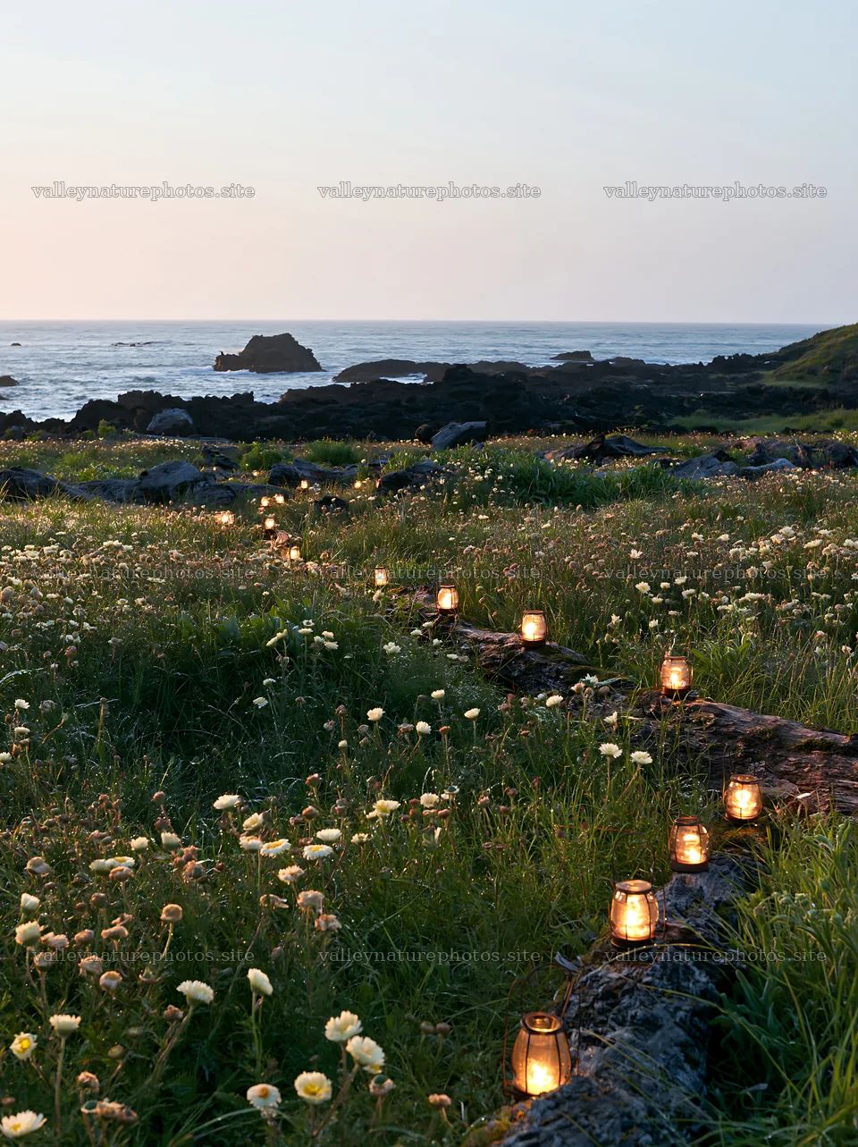 Expansive meadow with lights and driftwood at sunset – nature photography 6866x9174