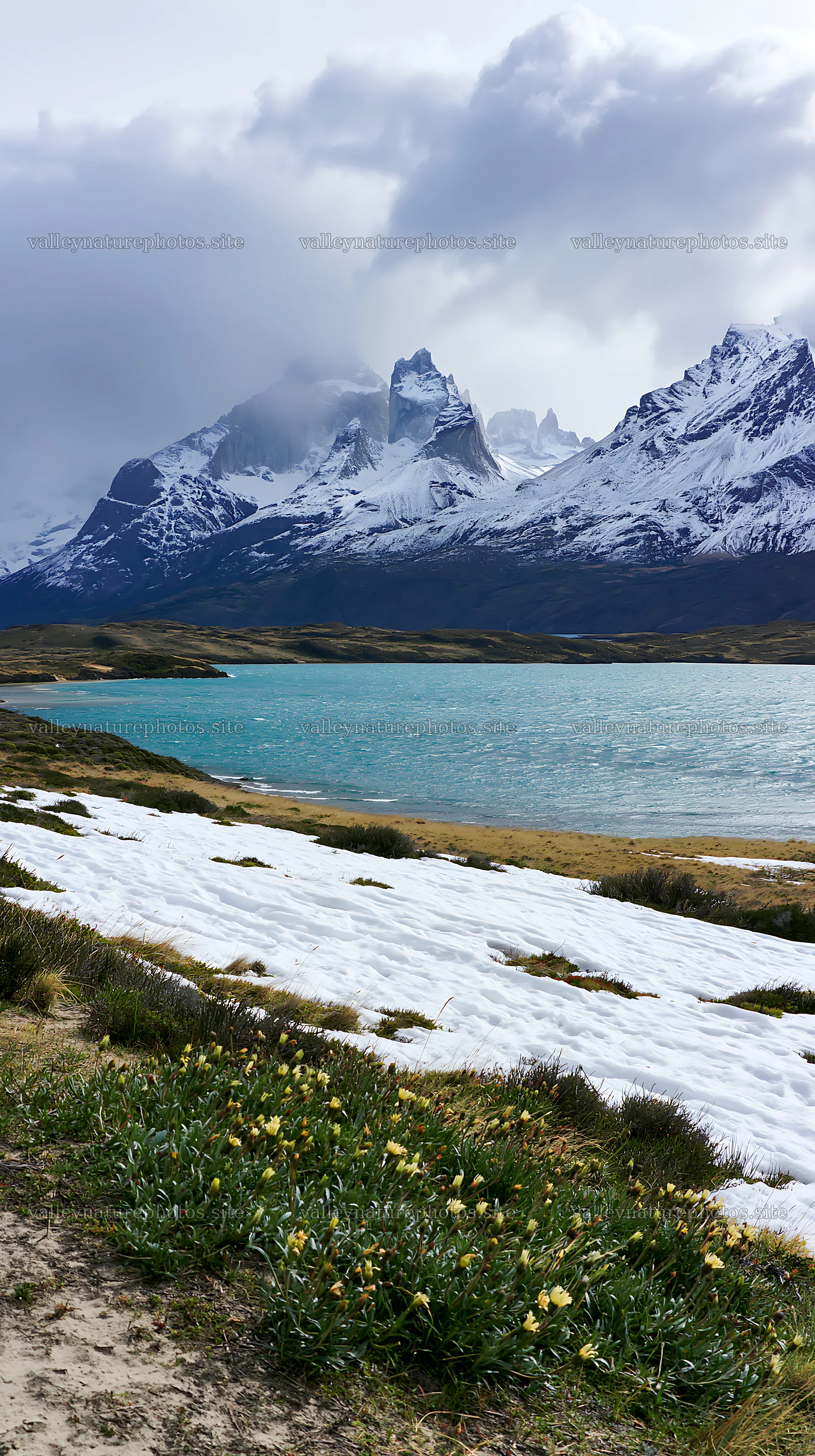 Snowy meadow near Torres del Paine with lake and mountains – nature photography 5938x10608