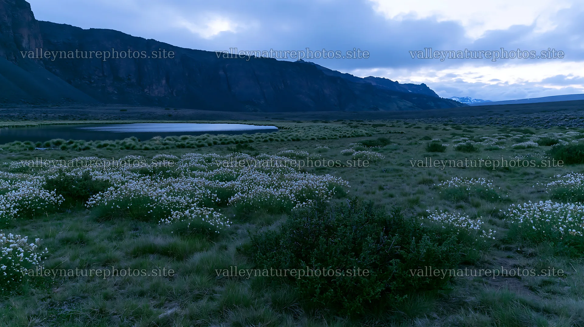 Regenerative meadow with water body and mountains in the background – nature photography 10608x5938