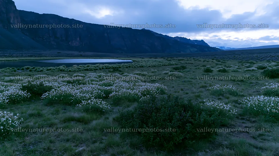 Regenerative meadow with water body and mountains in the background – nature photography 10608x5938
