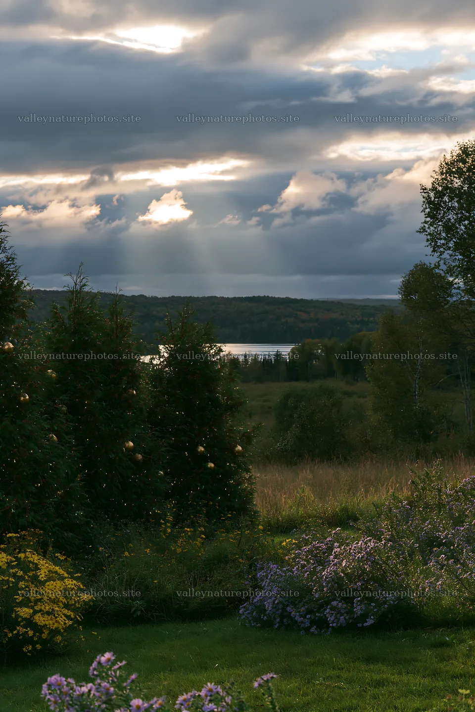 Christmas decorations in meadow with sunlight and clouds – nature photography 6480x9722