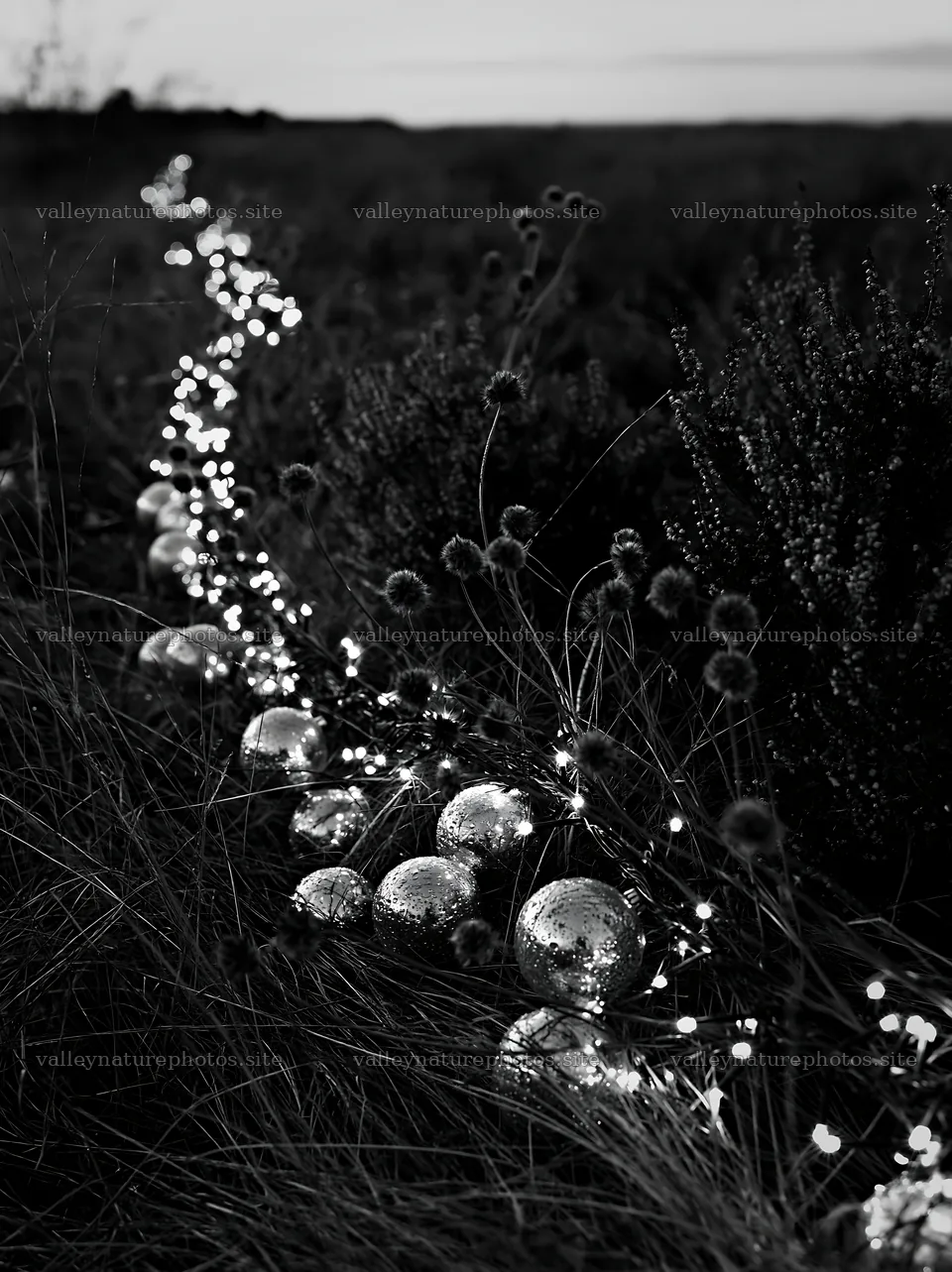 Christmas meadow with baubles and lights in autumn grass – nature photography 6866x9174