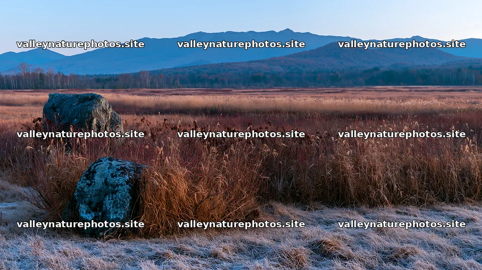 Aomori climate resilient meadow with boulder – nature photography 10608x5938