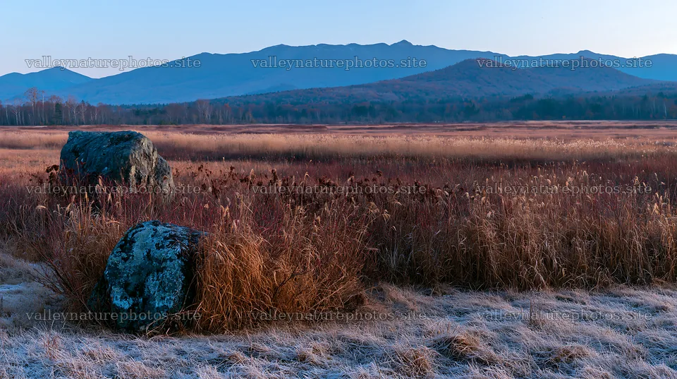 Aomori climate resilient meadow with boulder – nature photography 10608x5938