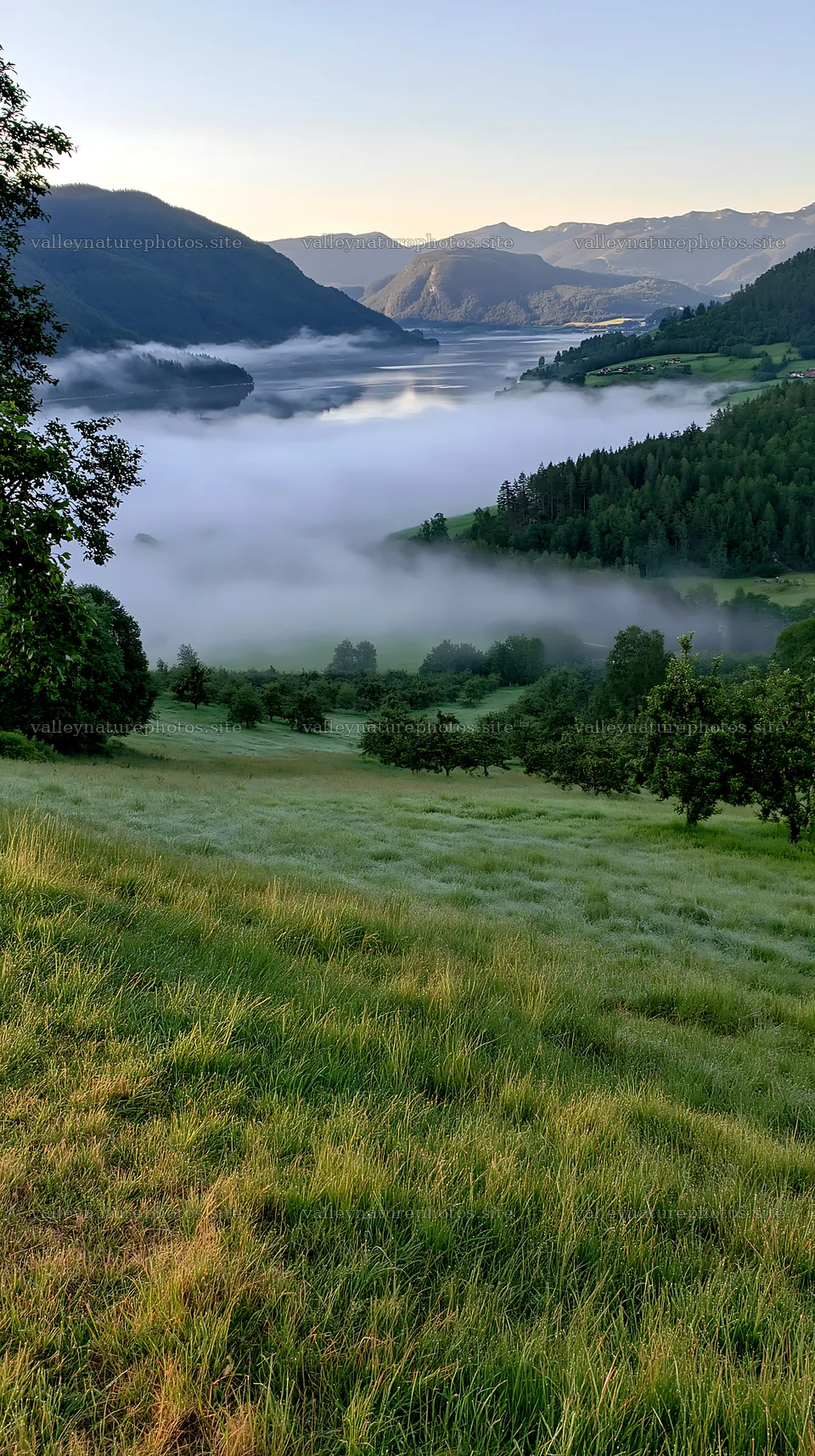 Fjord orchard meadow with fog covering the valley at sunrise – nature photography 5938x10608