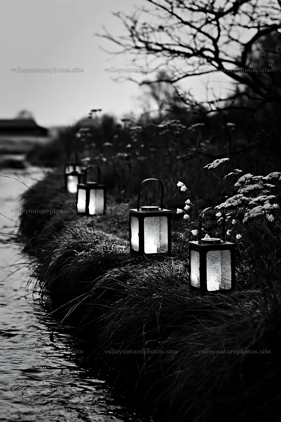Christmas lanterns at dusk beside stream in meadow – nature photography 6480x9722