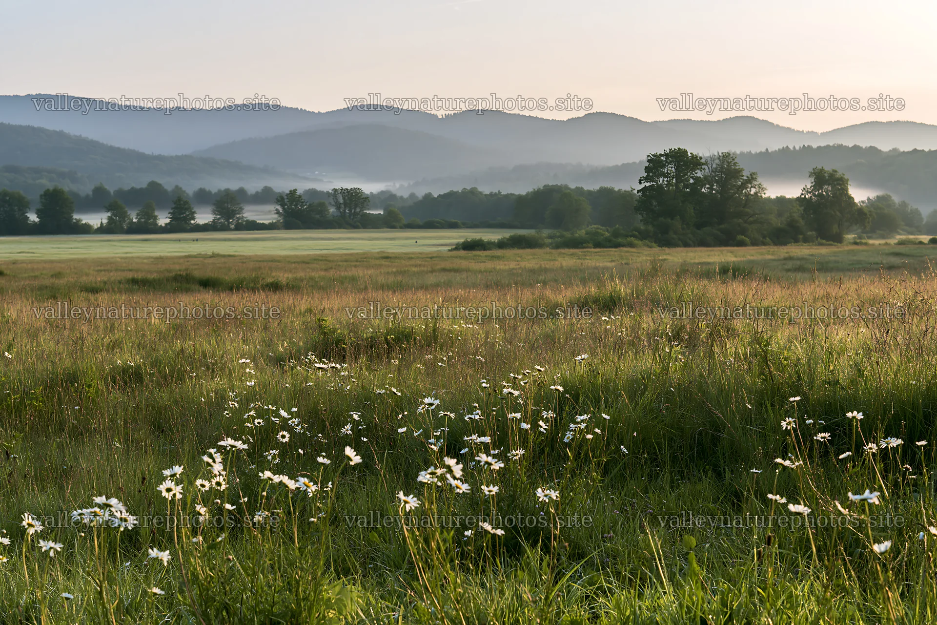 German foothill meadow with wildflowers and distant hills – nature photography 9722x6480