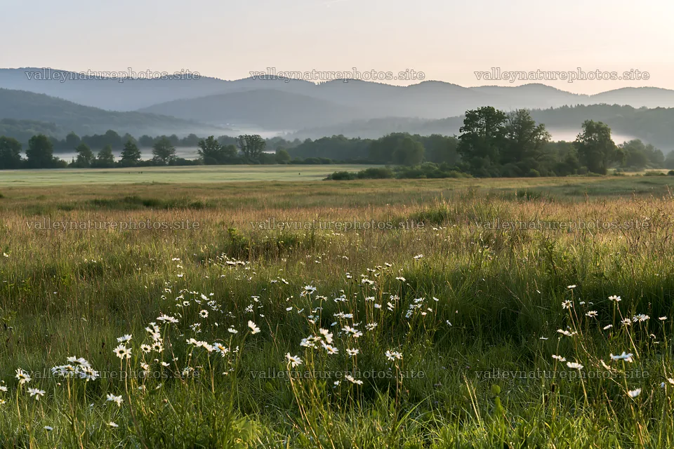 German foothill meadow with wildflowers and distant hills – nature photography 9722x6480