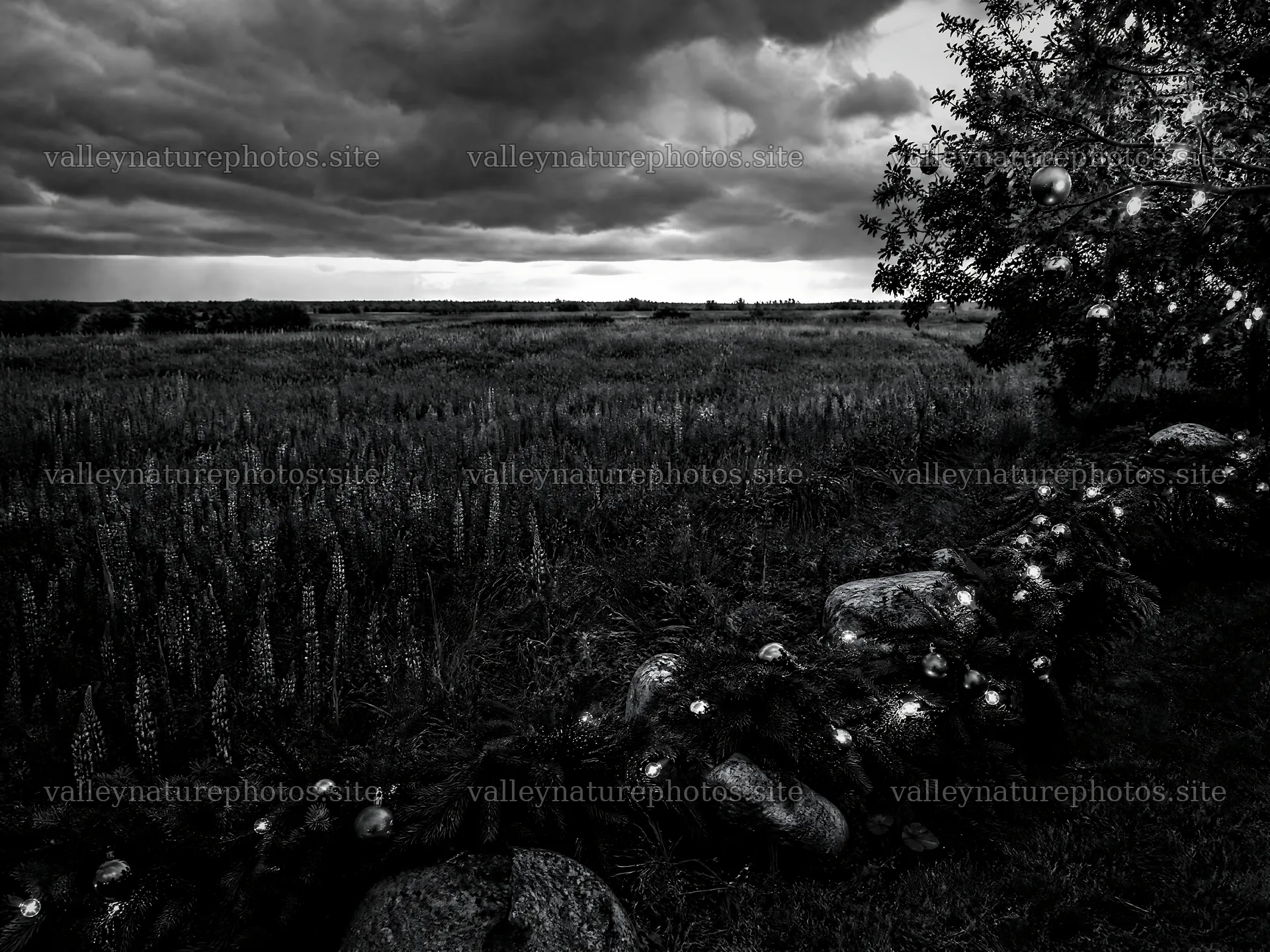 Vibrant Christmas garland across meadow grass in cloudy weather – nature photography 9166x6874