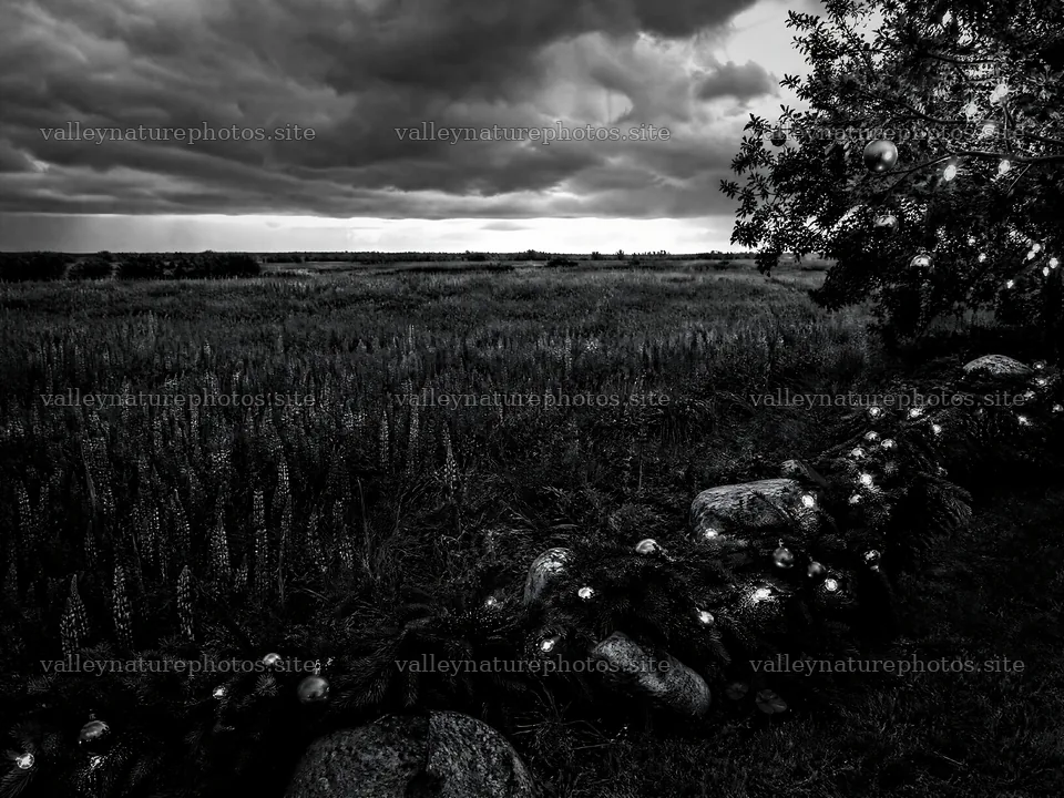 Vibrant Christmas garland across meadow grass in cloudy weather – nature photography 9166x6874