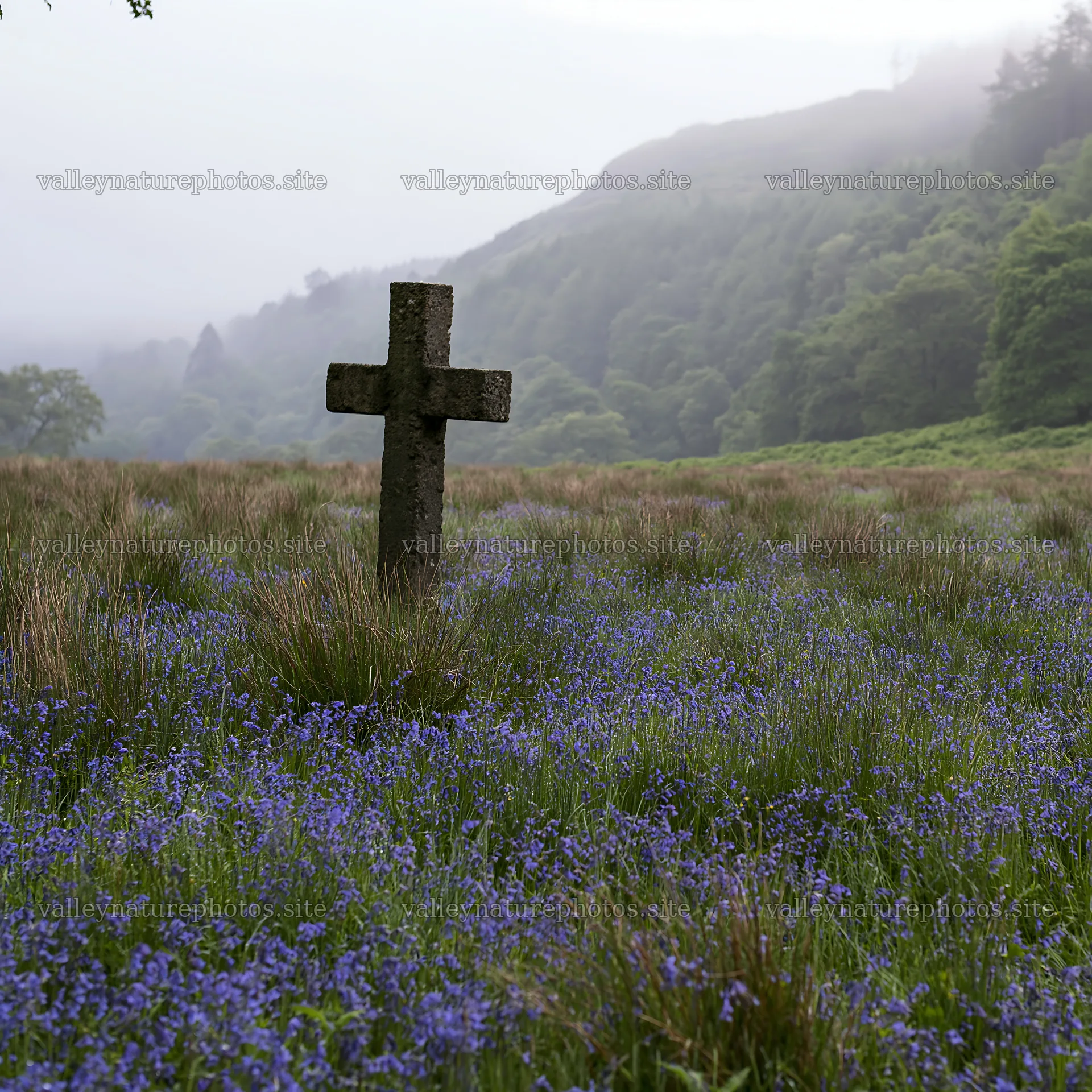 Christian cross in a meadow with flowers near a forest – nature photography 7938x7938
