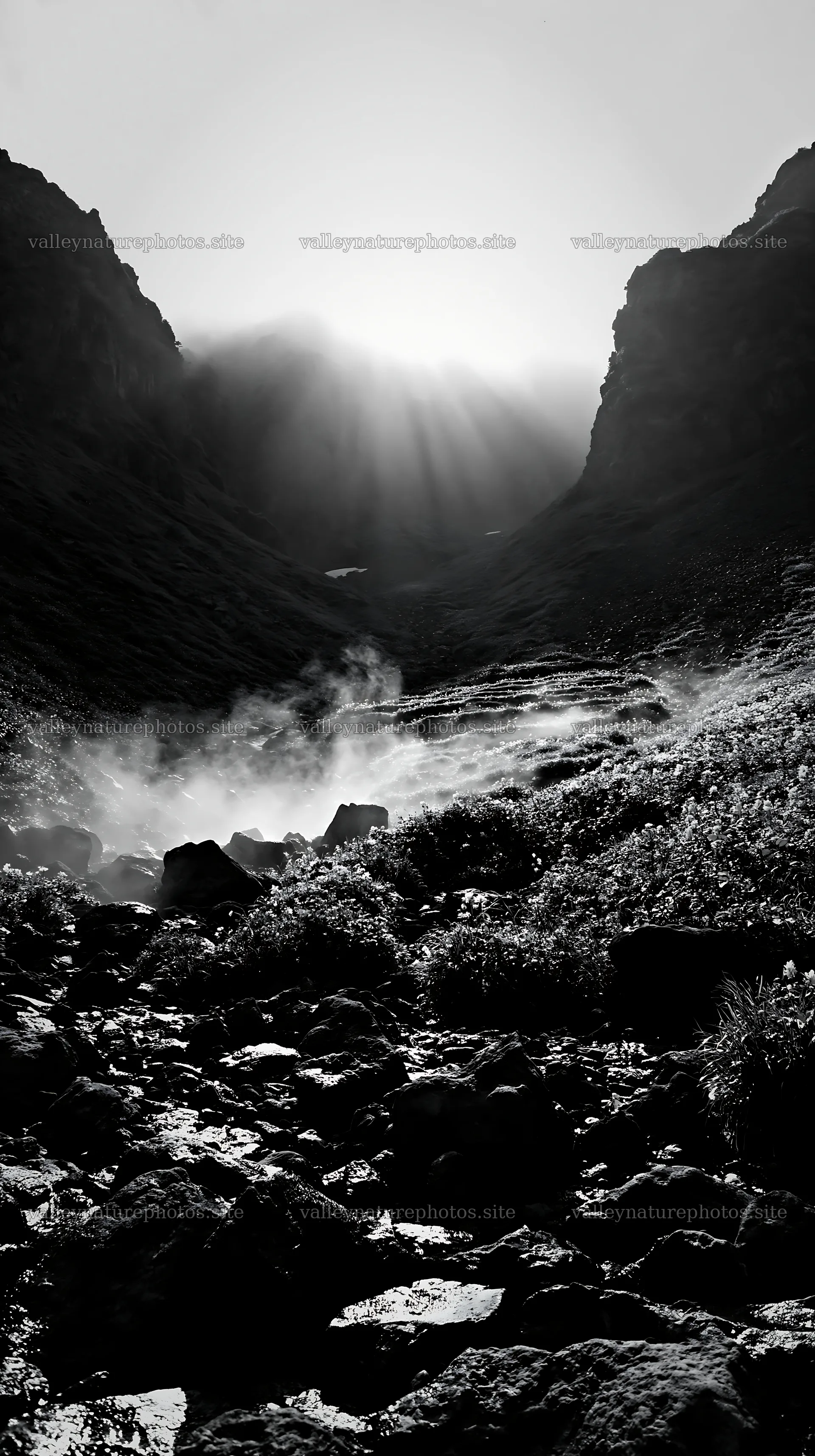 Daisetsuzan alpine meadow light rays above rocky stream – nature photography 5938x10608