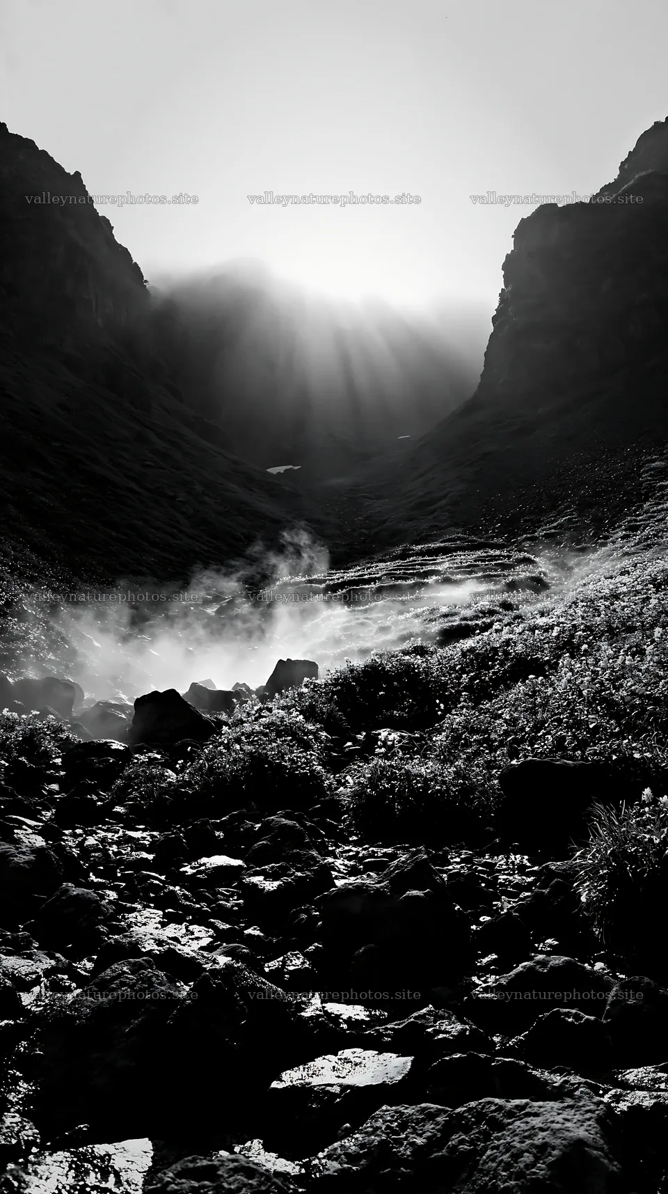 Daisetsuzan alpine meadow light rays above rocky stream – nature photography 5938x10608