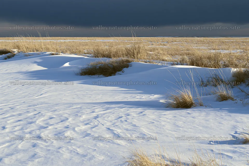 Snowdrift meadow with grasses under a dark sky – nature photography 9722x6480