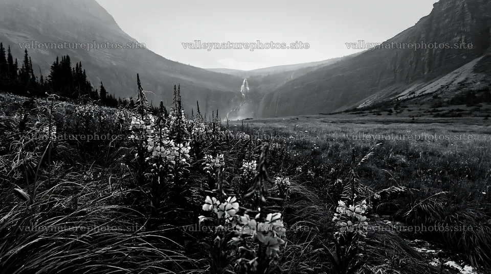 Misty mountain waterfall in a meadow with wildflowers – nature photography 10608x5938