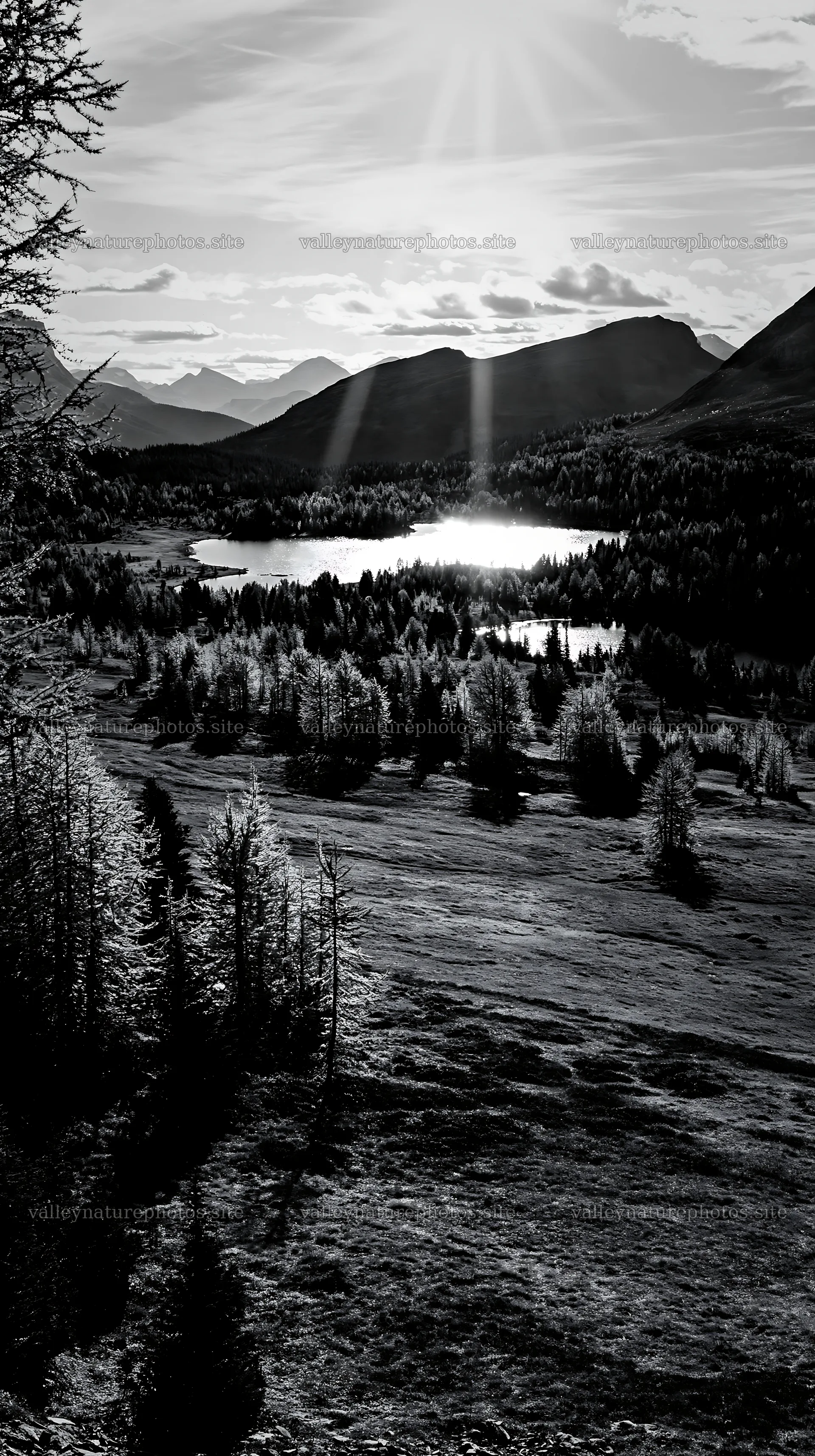 Sunshine Meadows Banff light rays illuminate the landscape – nature photography 5938x10608