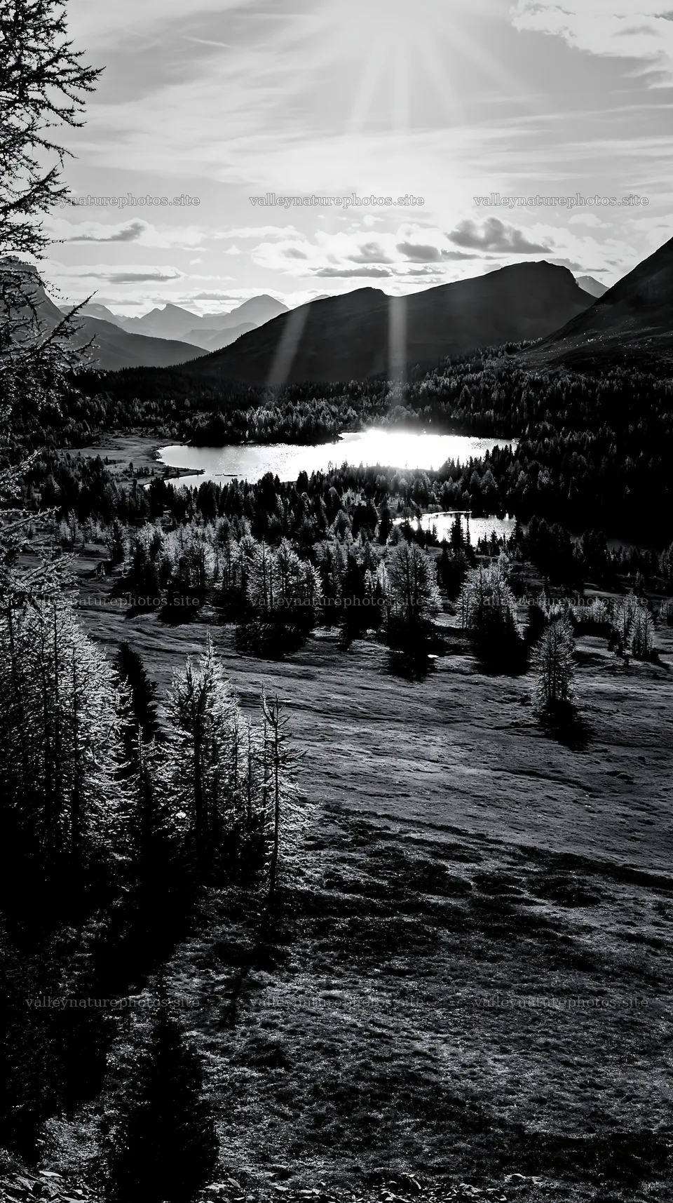 Sunshine Meadows Banff light rays illuminate the landscape – nature photography 5938x10608