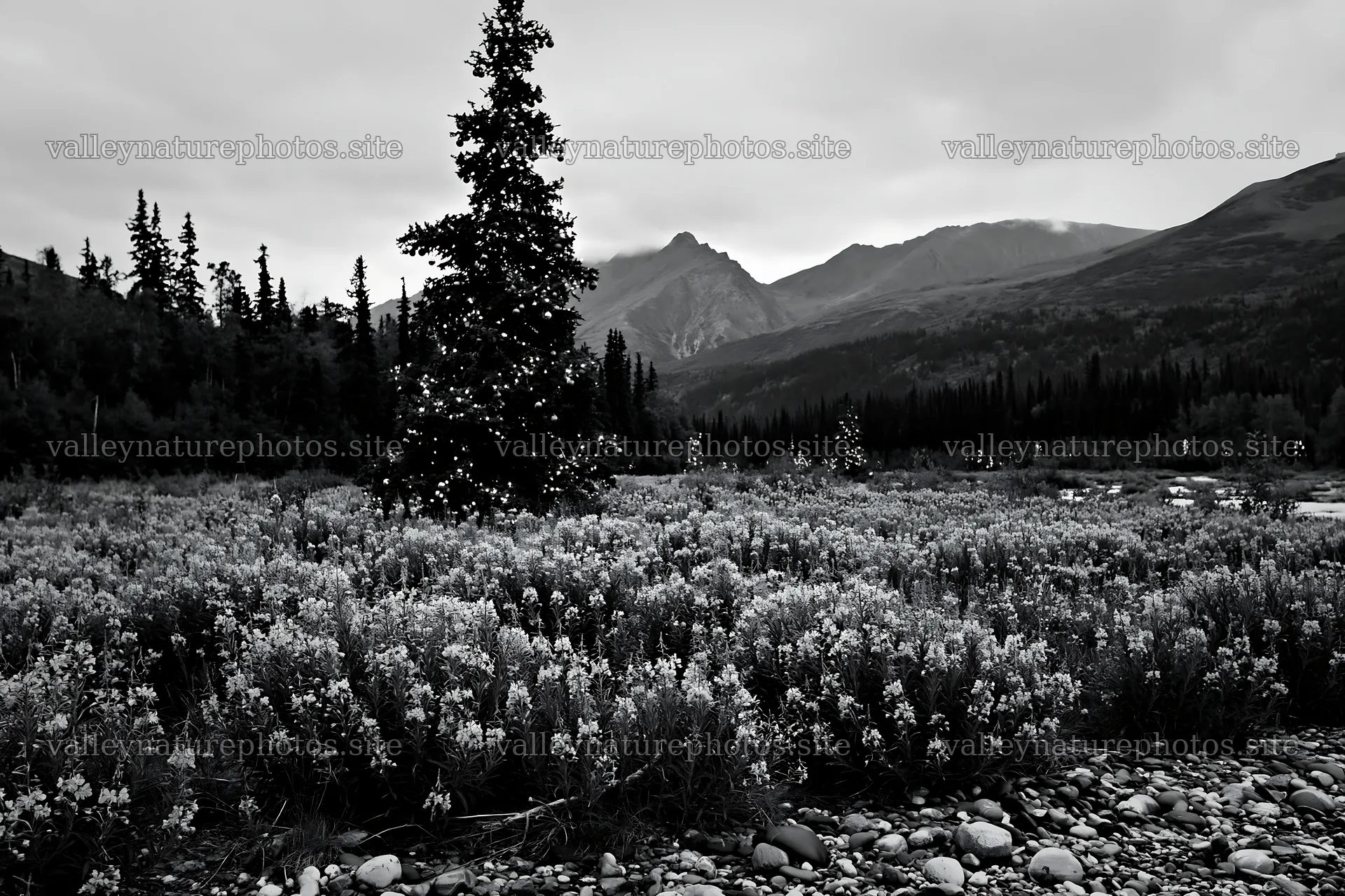 Wide Christmas meadow with flowers and fairy lights at dusk – nature photography 9722x6480