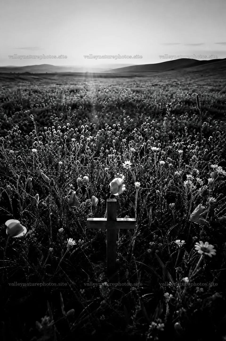 Wooden Christian cross in meadow at sunrise – nature photography 6468x9740