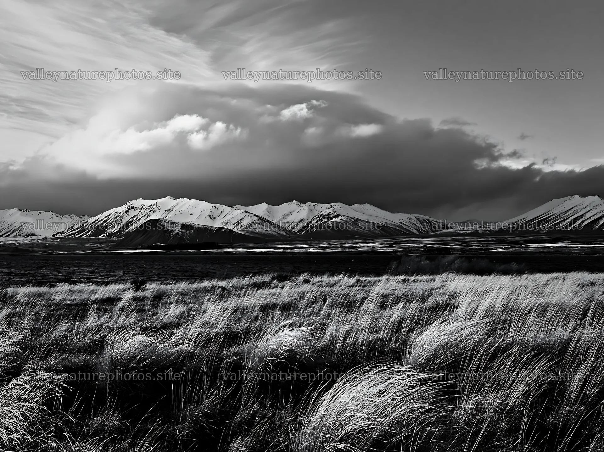 Snowy alps overlooking Lake Tekapo meadow in black and white – nature photography 9174x6866