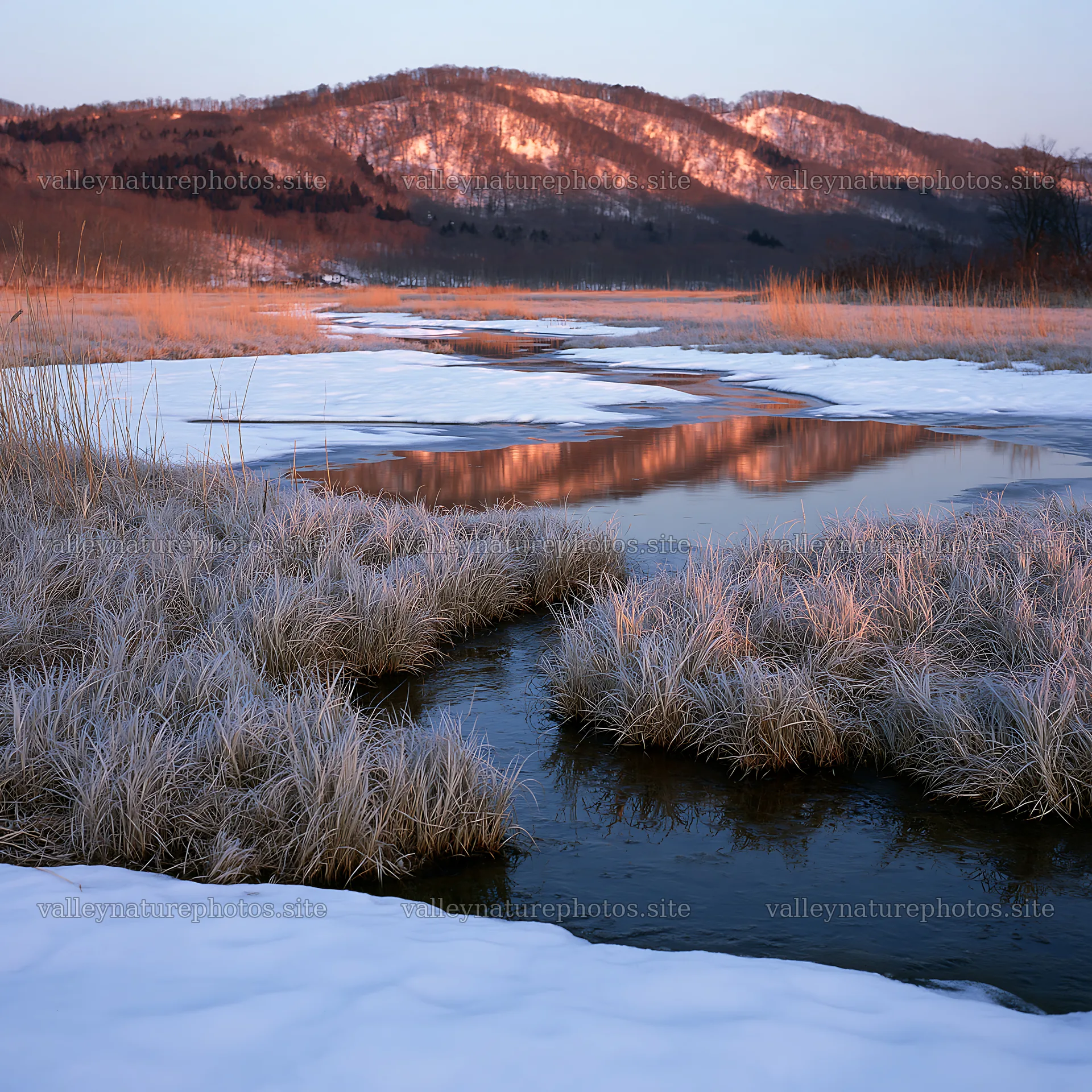 Akita snowmelt meadow with silver grasses and stream – nature photography 7938x7938
