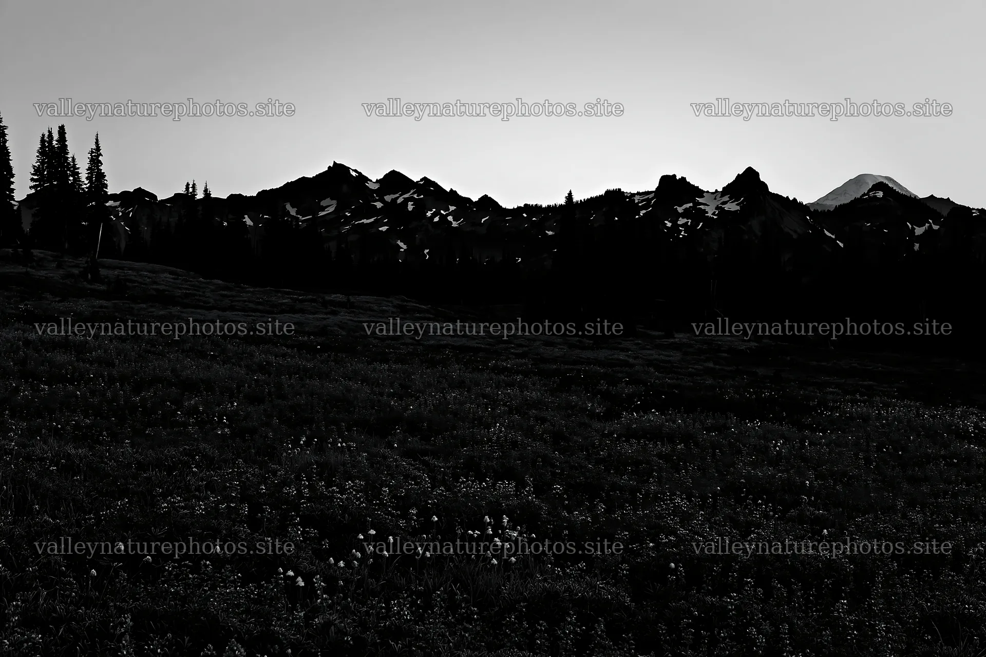 Mount Rainier wildflower meadow at sunrise – nature photography 9722x6480