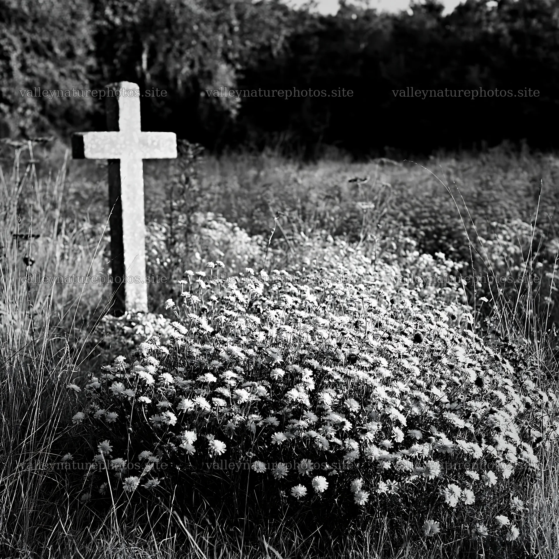 Cross surrounded by flowers in a meadow – nature photography 7938x7938