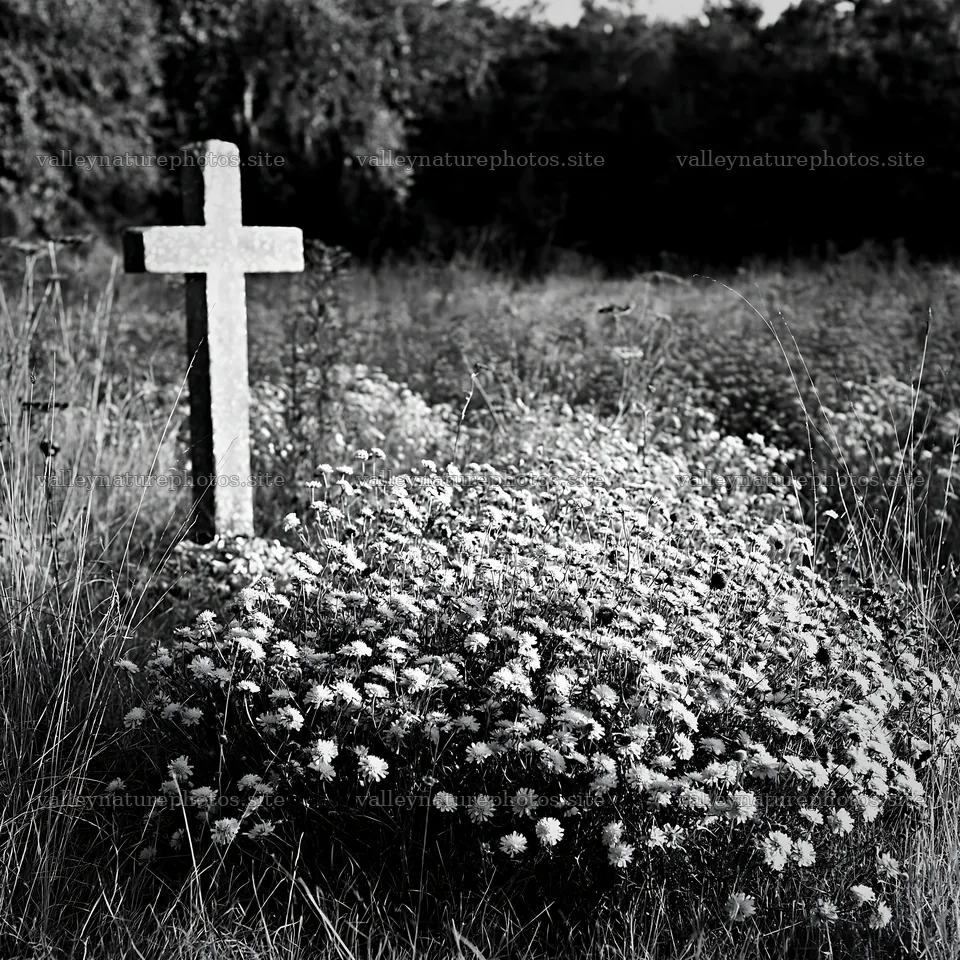 Cross surrounded by flowers in a meadow – nature photography 7938x7938
