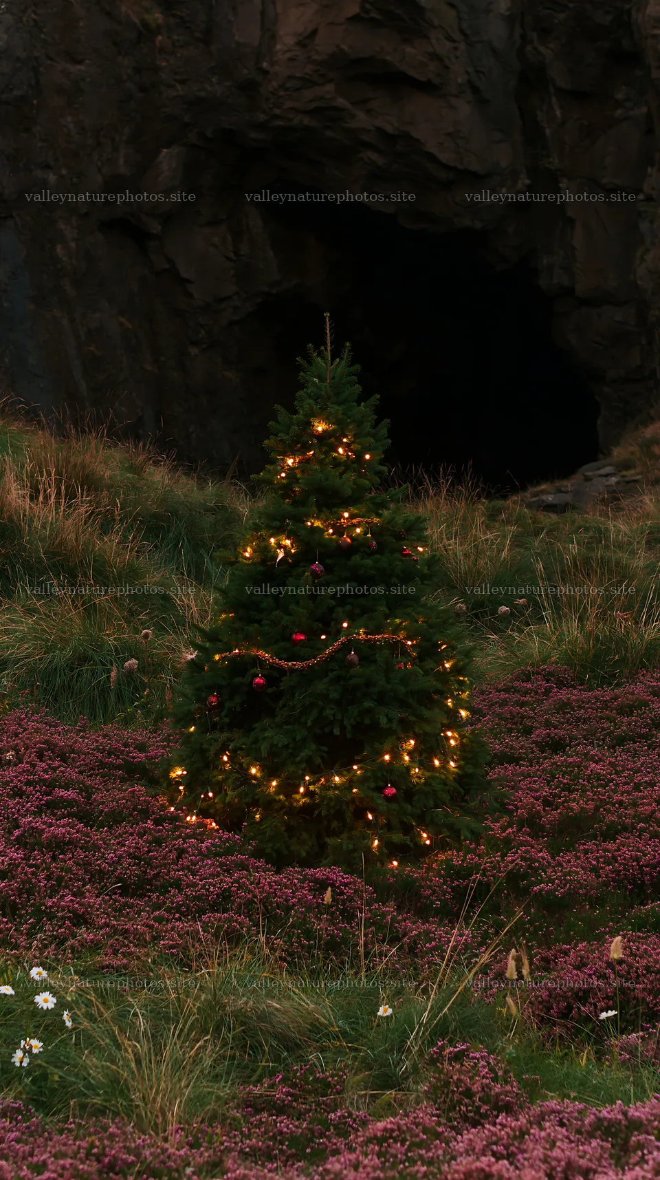 Christmas tree in meadow near cave with lights – nature photography 5938x10608