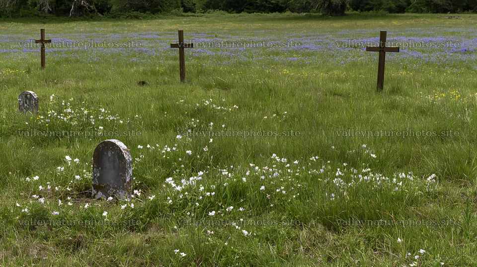 Four wooden crosses in Advent meadow with gravestones – nature photography 10608x5938