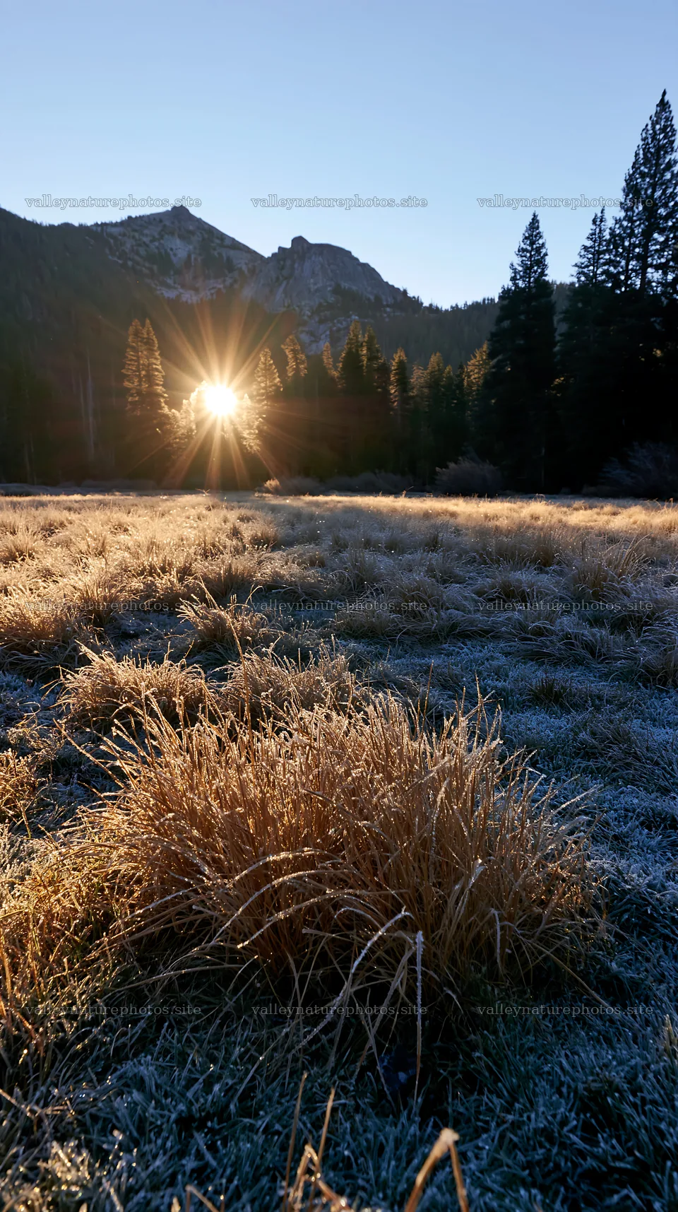 Frosty meadow at sunrise with mountains in the background – nature photography 5938x10608