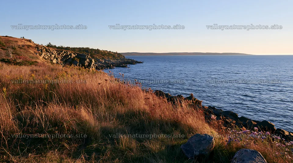 Coastal meadow cliffs with grass and rocky shoreline at sunset – nature photography 10608x5938