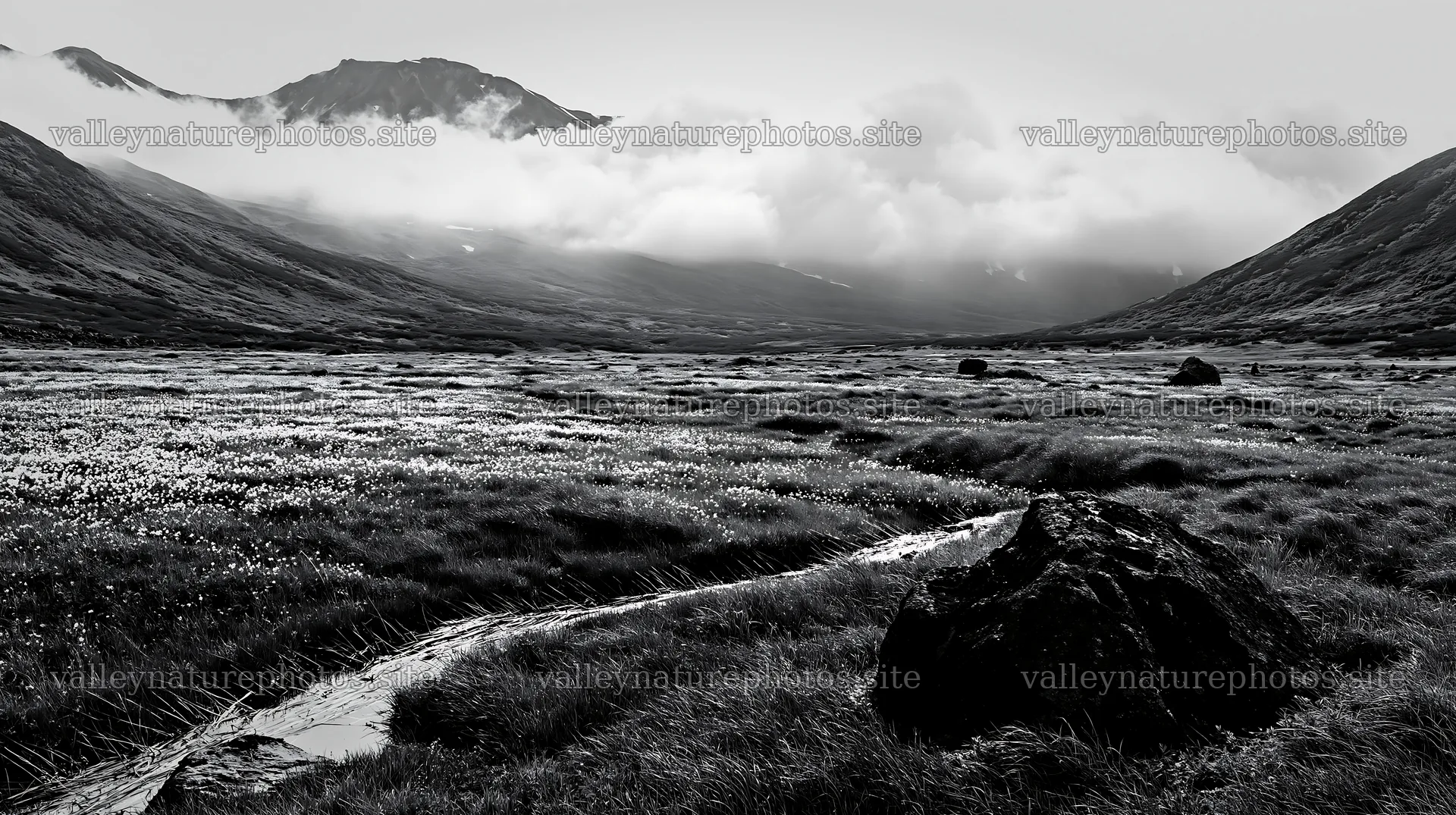 Toyama alpine meadow snowmelt rock foreground with lush landscape – nature photography 10608x5938