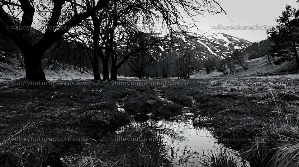 Highland apple meadow with stream and trees in black and white – nature photography 10608x5938