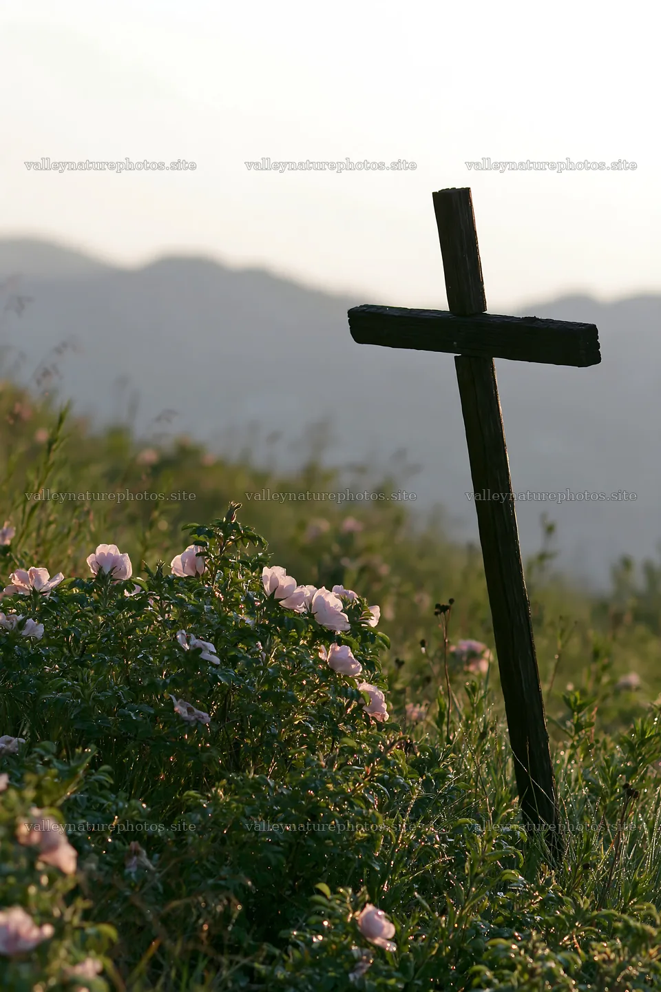 Christian cross stands in mountain meadow – nature photography 6480x9722