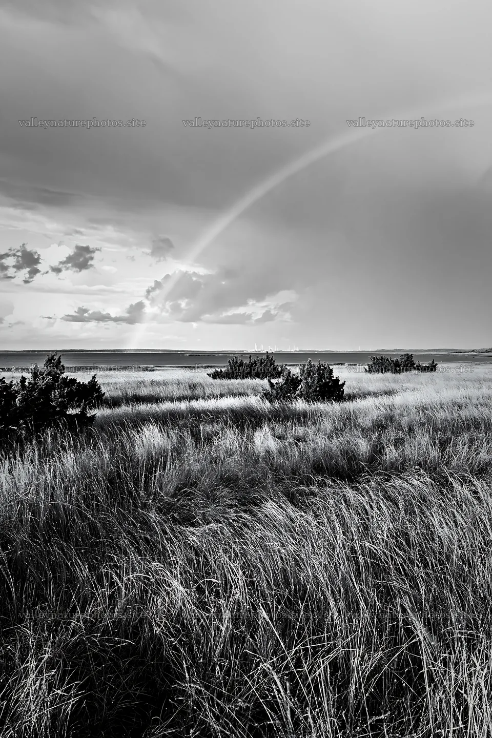Seedhead meadow under a cloudy sky with a rainbow – nature photography 6480x9722