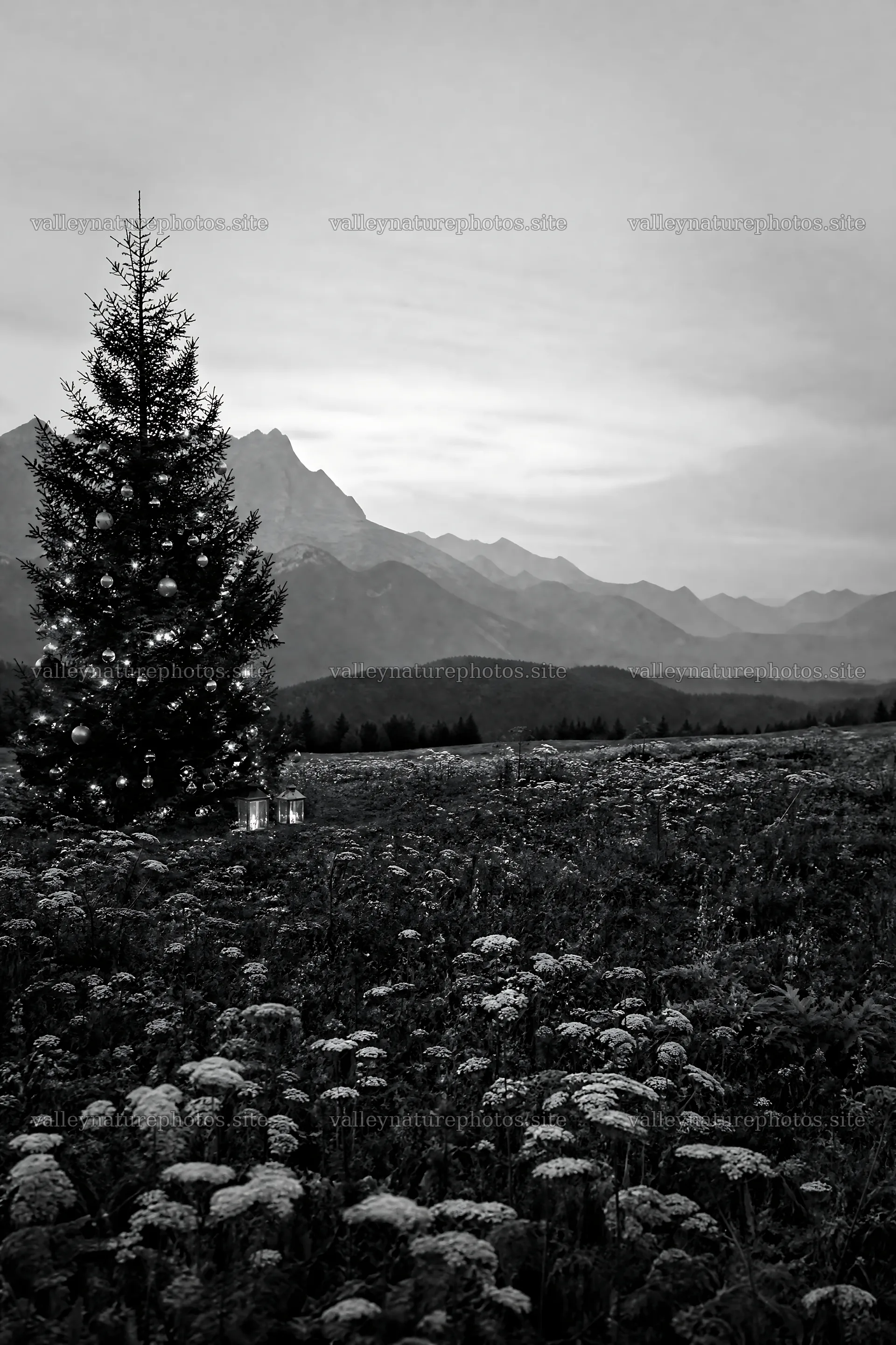 Decorated Christmas tree in mountain valley meadow – nature photography 6480x9722