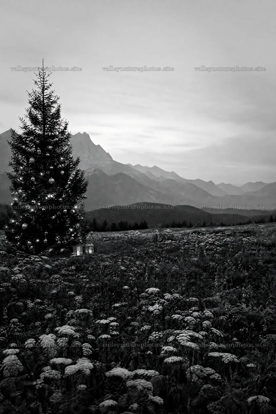 Decorated Christmas tree in mountain valley meadow – nature photography 6480x9722