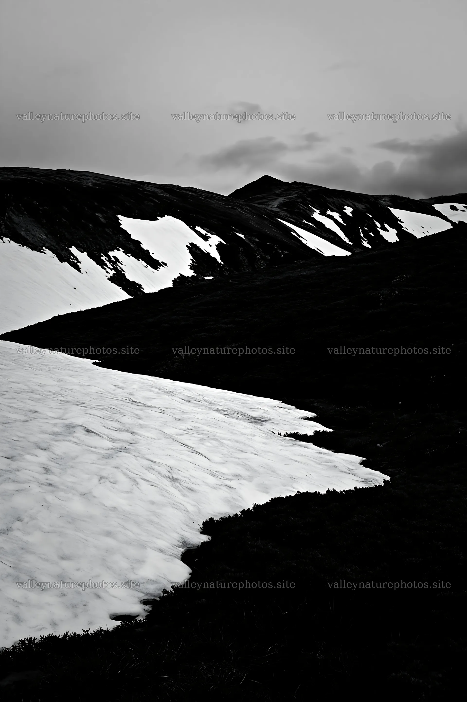 Snowline meadow with snow and greenery on mountain slopes – nature photography 6480x9722